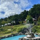 시립박물관 노리숲길 이미지