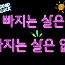 다빼드림 이미지