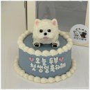 정성스럽개 이미지