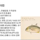 079 커몬잿방어 Jack, Crevalle 이미지