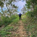 완도읍-4 이미지