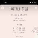 복자네꽃실