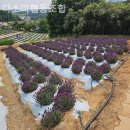 즐거운 협동조합 이미지