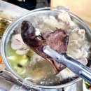 대전삼성동우체국 1층 | 대전 삼성동 맛집 보글보글보은식당 능이버섯 백숙 전골 토종닭 닭도리탕 능이백숙