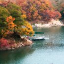 봄여름가을겨울펜션민박 이미지