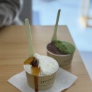 압구정-113 | 서울 강남 압구정 디저트 맛집 젠제로 젤라토 내돈내산 후기