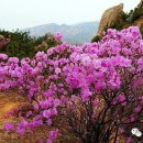 선경투어