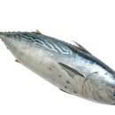 알파오메가약국 이미지