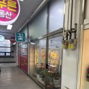 메이플라워 | 🌸 메이로즈플라워(발산꽃집) 방문 후기, 감성 꽃다발 완성💛