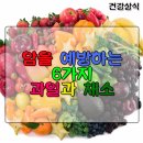 행운푸드 Daum카페