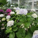 늘봄상회 이미지