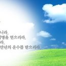 일심 이미지