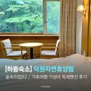 자연속의리조트휴모텔 | [하동숙소] 경남 덕원자연휴양림 숲속의집B2 가족여행·가성비 독채펜션 후기