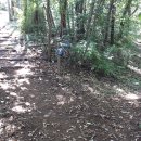 계룡산등산로(거제면) 이미지