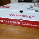 빨간모자피자 고대점에서 리코타 씨푸드 피자 방문포장하기!! 완전 추천하는 리코타 씨푸드 피자 ♡