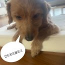 (주)오피테크 | 25 10 05