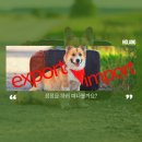 (주) 호랑