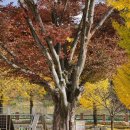 남하초등학교 이미지