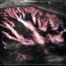 (주)베스트메디칼 이미지