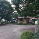 이용철동물병원 이미지