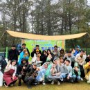 댕댕이 숲 이미지