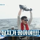어부참치