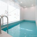 모모애견 이미지