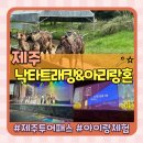 (주)제주케이여행사 | 제주투어패스 무료체험 더케이쇼 제주 아리랑혼 &amp; 낙타트래킹 후기