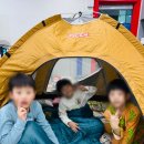 베스트세심태권도 이미지