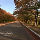 경주현대여행사 이미지