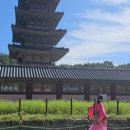 부여(사비)-02 이미지