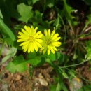 성태농장 이미지