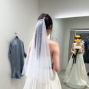 [ W. 15 ] 베일즈 드레스 피팅 후기 및 가격 공유👰‍♀️