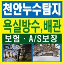 천안농협원성동지점 | 천안화장실누수 철저하게 공사