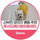 존스홉킨스 동물병원 | 루시드동물메디컬 동대문점, 신부전 보은이가 믿고 진료중인 병원 추천
