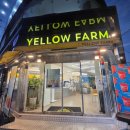 크로플팜 | 전주객사카페 옐로우팜, 프리미엄 과일 전문점 내돈내산 리얼 솔직 후기