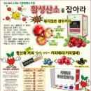 엔잭타커피