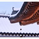 봄마중(2월에는) 네이버블로그
