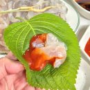 경주 감포횟집 수협활어직판장 부부수산 모듬회 포장 후기