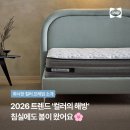2026 트렌드 ‘컬러의 해방’｜씰리침대 프레임 컬러로 완성하는 봄 침실 인테리어
