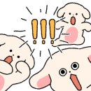 루루펫 네이버블로그