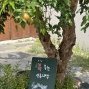 연두민박 | 경주 여행 기념품샵 추천 :: 황리단길 무궁미가