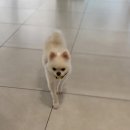 해랑동물병원 이미지