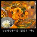 고래를춤추게하는낙지 | 부산 중앙동 점심 맛집 추천, 낙곱새 닭곱새 고래섬 솔직 후기