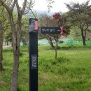 화창군묘 이미지