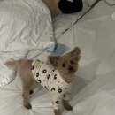 MJ모텔 이미지