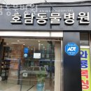 호담동물병원 이미지