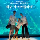 제주해양과학관 (아쿠아플라넷) | 제주 아이랑 가볼만한곳 &#39;제주 아쿠아 플라넷&#39; 임산부 할인/공연 팁