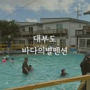 벨르 온수 수영장펜션 | 대부도펜션 아이랑 바다의별펜션 수영장 온수풀 후기