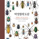 스튜디오두릅 이미지